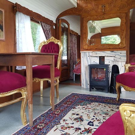 Gipsy Home Nieuwleusen Екстериор снимка
