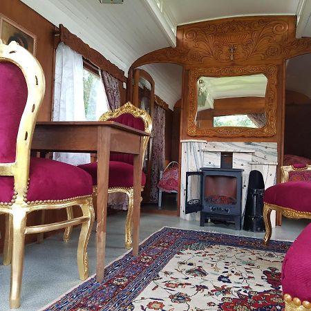 Gipsy Home Nieuwleusen Екстериор снимка