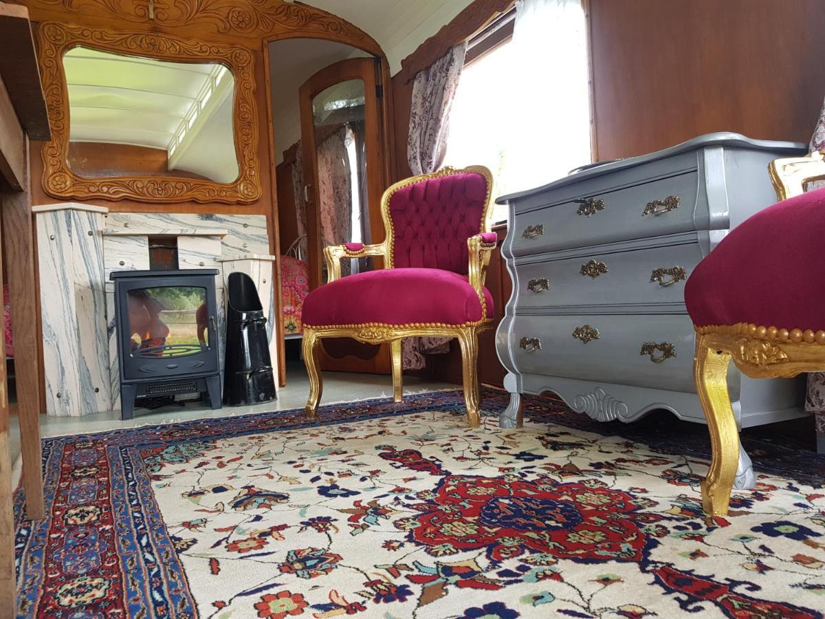 Gipsy Home Nieuwleusen Екстериор снимка